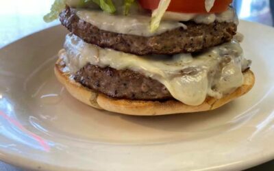 Great Big Stupid Double Cheeseburger